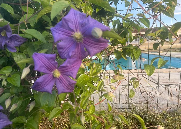 Repli Des 3 Ponts * Saint-Jory