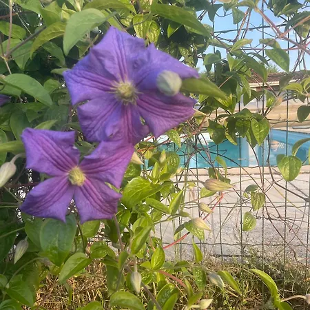 Repli Des 3 Ponts * Saint-Jory