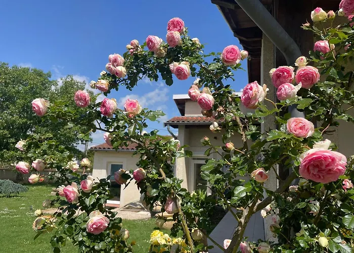 Апартаменты Repli Des 3 Ponts Saint-Jory